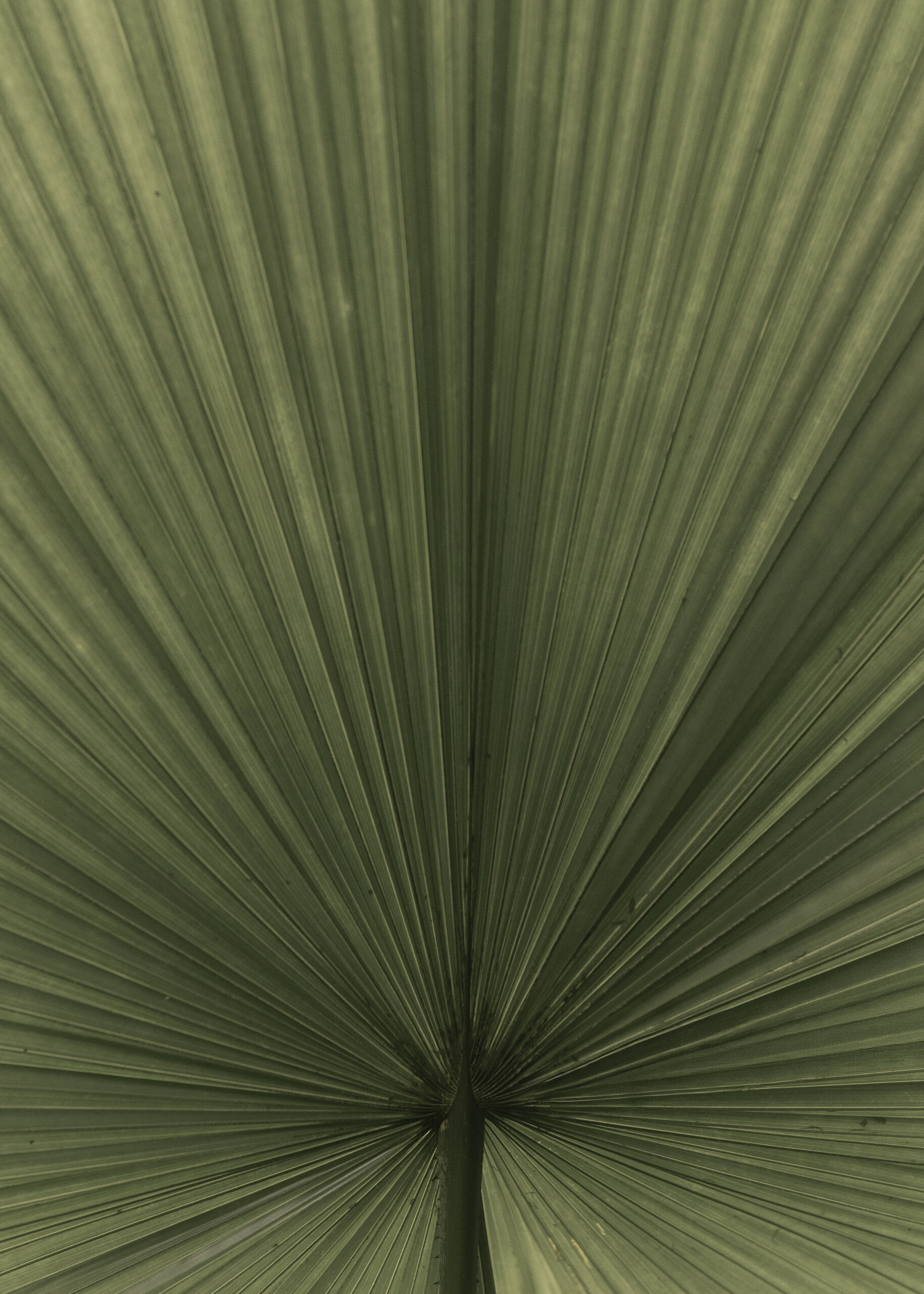 Print 43
